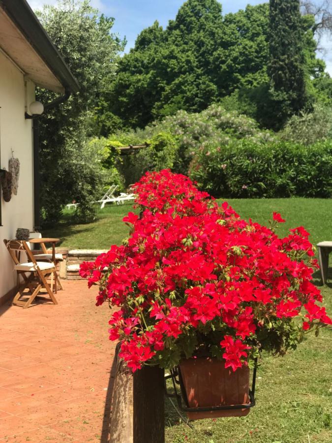 Agriturismo B&B Le Casette Sul Garda Cavaion Veronese Exterior photo
